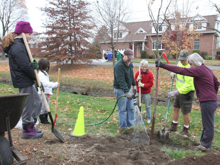 Newton Tree Conservancy accepting group applications for 2023 Spring ...